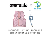 Kitten Harness Training Bundle
