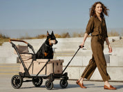 Camper Large Pet Stroller - Charcoal