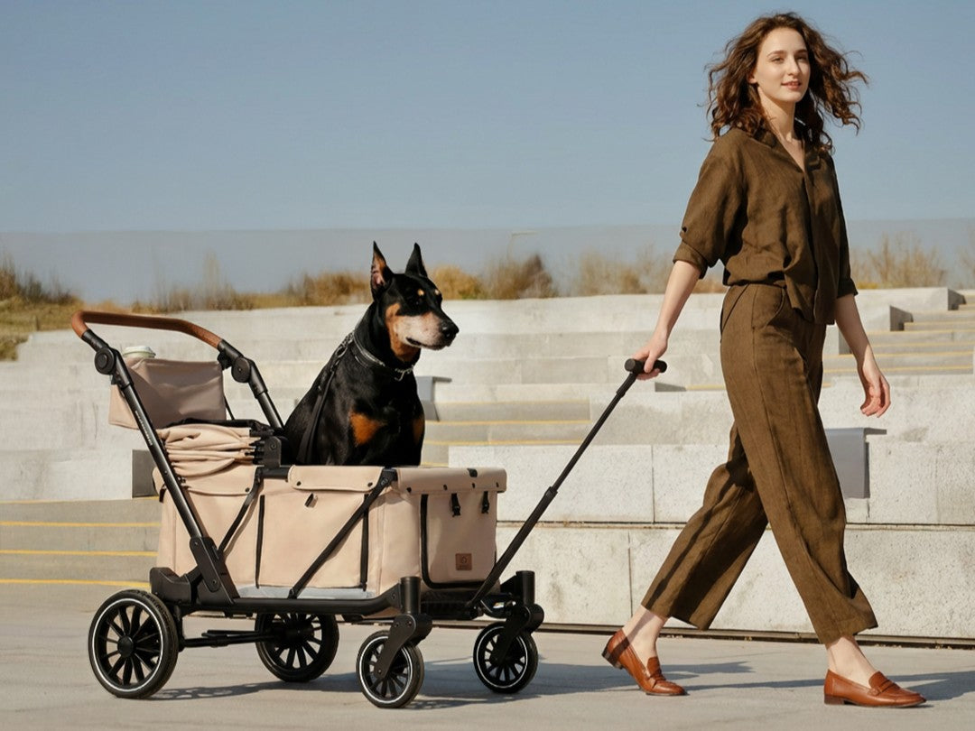 Camper Large Pet Stroller - Charcoal