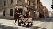 Camper Large Pet Stroller - Beige