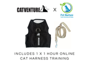 Cat Harness Training Bundle