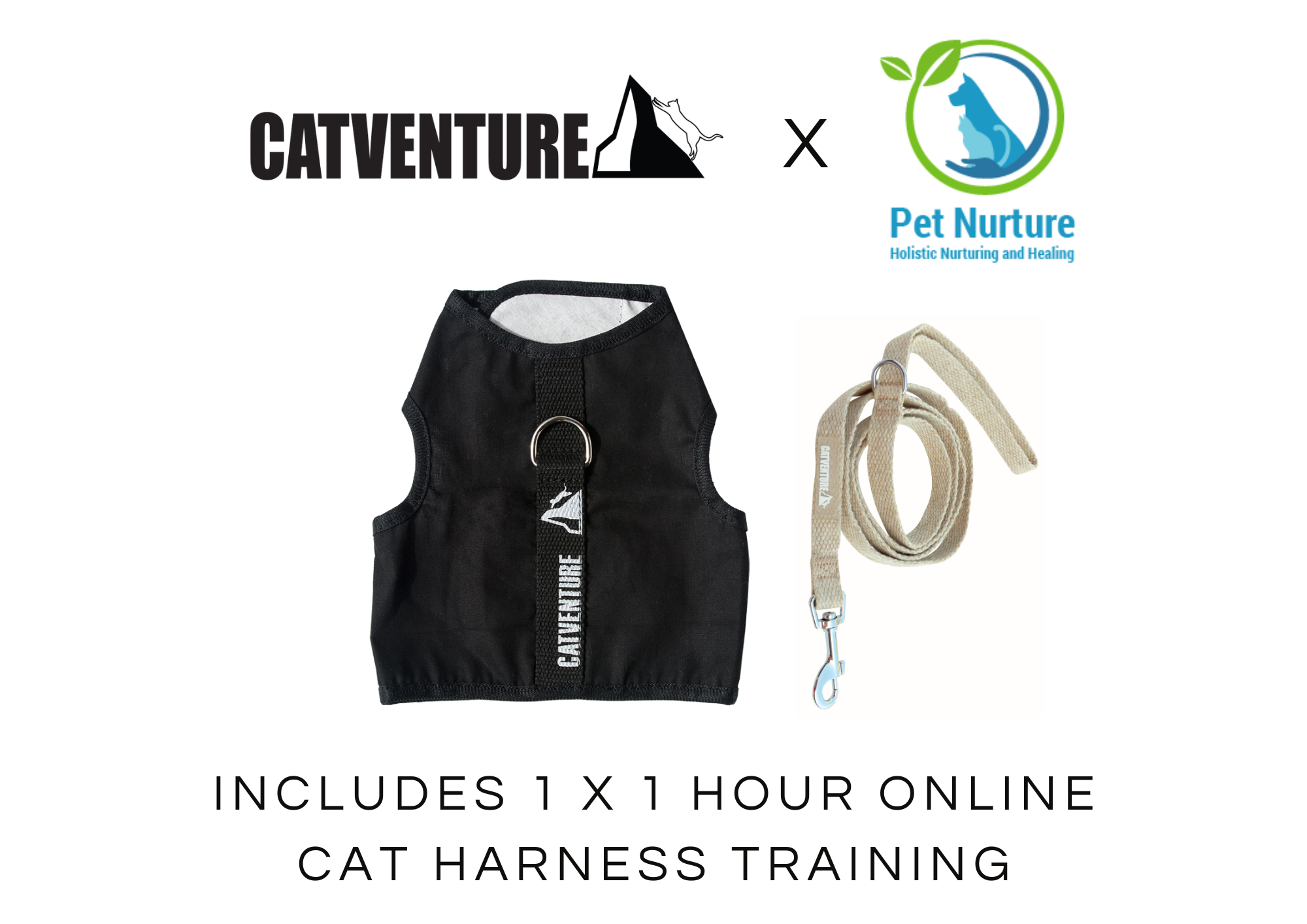 Cat Harness Training Bundle